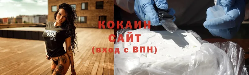 Кокаин Fish Scale  сайты даркнета клад  Кузнецк  цена  