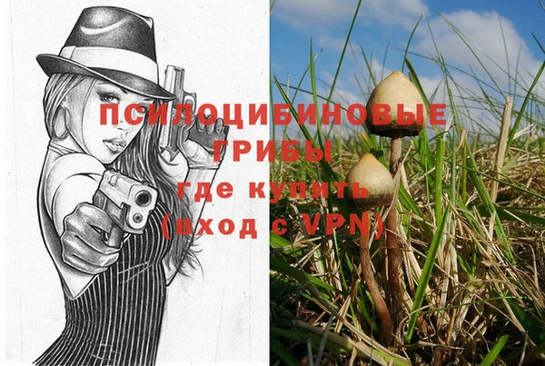 ПСИЛОЦИБИНОВЫЕ ГРИБЫ Нея