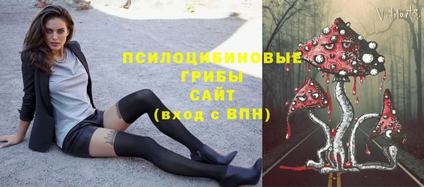 ПСИЛОЦИБИНОВЫЕ ГРИБЫ Нея
