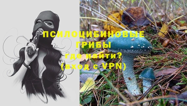 ПСИЛОЦИБИНОВЫЕ ГРИБЫ Нея