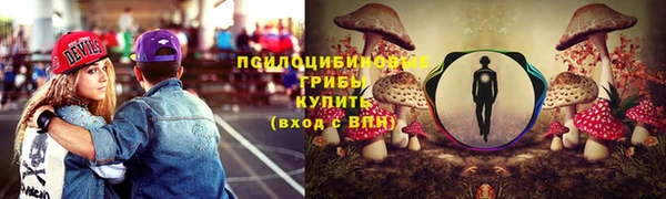 ALPHA-PVP Новодвинск