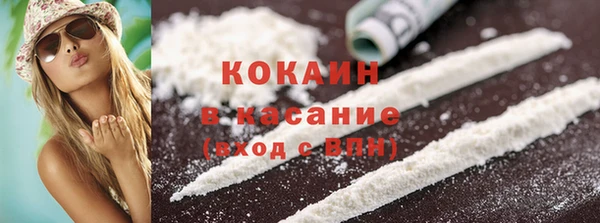 твердый Новозыбков
