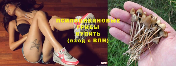 твердый Новозыбков