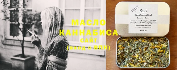 твердый Новозыбков