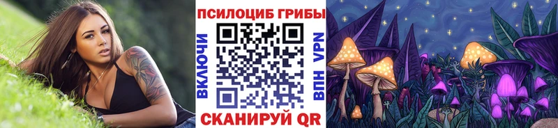 как найти закладки Кузнецк Псилоцибиновые грибы Magic Shrooms