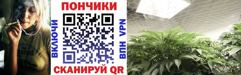 продажа наркотиков Кузнецк Шишки марихуана SATIVA & INDICA